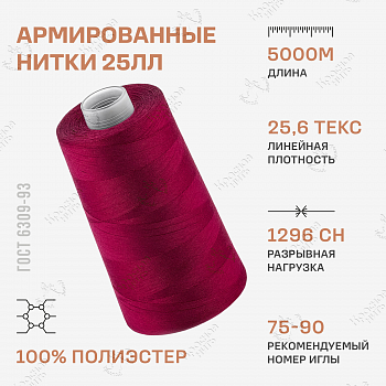 25 ЛЛ 5000м